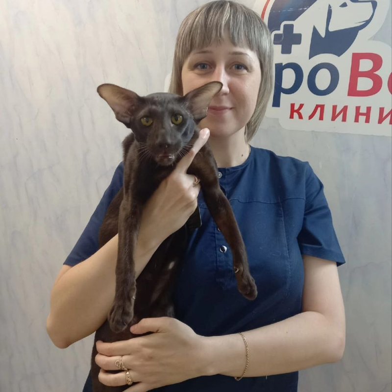 Веневцева Юлия Сергеевна